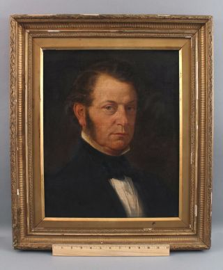 19thc Antique French Gentleman Portrait O/c Oil Painting & Gilt Frame,  Nr