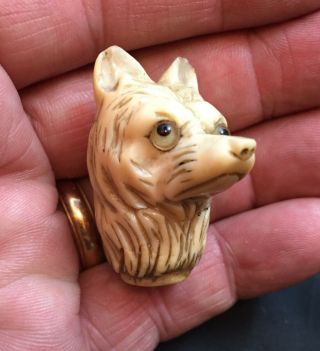 Vintage Antique Cane Fox Terrier Dog Head Hand Carved Fine Walking Stick