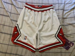 Vintage Nike Chicago Bulls Authentic Nba Basketball Shorts Mens 32 Jordan Pippen