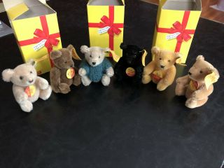 6 Steiff Bears - With Boxes And Tags
