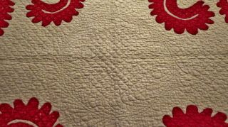 Antique 1900 ' s Handmade Hand Stitched Red White Princess Feather Quilt 80 