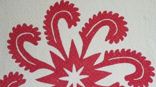 Antique 1900 ' s Handmade Hand Stitched Red White Princess Feather Quilt 80 