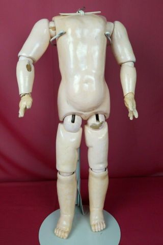 Antique German Max Handwerck Fully Jointed Doll Body Marked 20 Inch Wood/comp