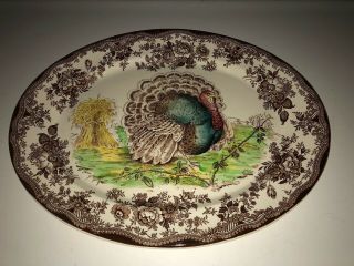 Vtg Royal Staffordshire Clarice Cliff Multi Color Oval Turkey Serving Platter