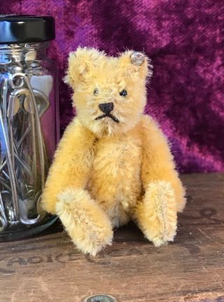 Antique Us - Zone Steiff Teddy Bear Button In Ear Collectable Gold Mohair C1950