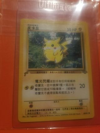 Binder Full Of 1st Edition Pokemon Cards (1999 - 2002) Holos,  Rares,  Uncommons NM, 11