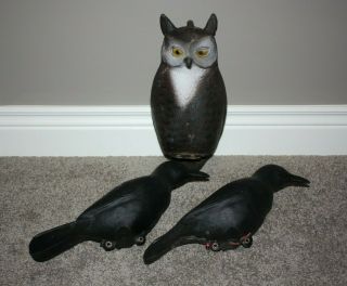 Vintage Plasti - Duk Owl And Crow Decoys Neumann Bennetts Duck Decoy