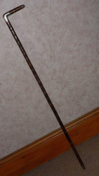 Antique Hallmarked Silver Walking Stick By Brigg 