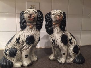 Pair Antique Hand Painted Staffordshire Spaniels Black White Large Figurines