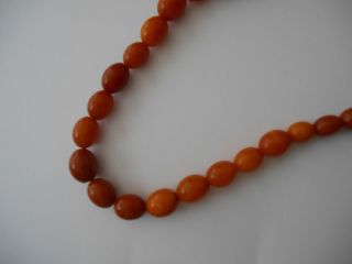 40 ANTIQUE NATURAL BALTIC AMBER LOOSE BEADS 5
