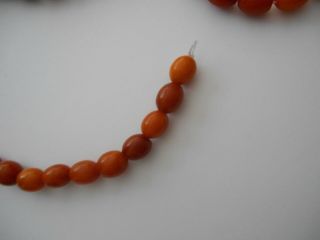 40 ANTIQUE NATURAL BALTIC AMBER LOOSE BEADS 6