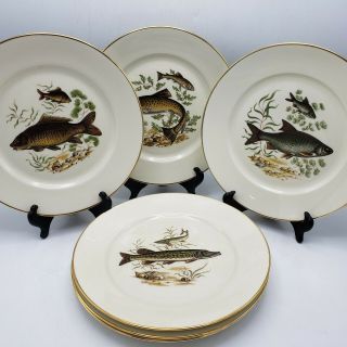 Vintage Set Of 6 Porcelain Bavarian Fish Dinner Plates Western Germany 10 "