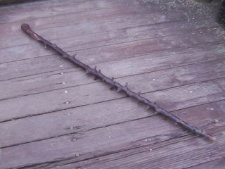 Antique Vintage Wood Wooden Shillelagh Walking Stick Cane Irish Celtic RARE 4 5