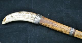 Antique/Vintage German ? Walking Stick/Cane with Wild Boar Tusk Handle 5