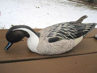 Vintage Feeding Pintail Duck Decoy Limited Edition Loon Lake Decoy Co Detailed