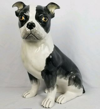 Vintage Hand Painted Italian Ceramic Boston Terrier Statue 17 " X18 " Large