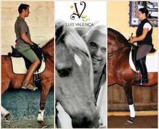 Dressage Master Luis Valenca Equestrian Horse Training 10 Dvds Rare Set