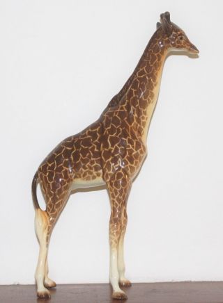 Vintage Beswick Large Adult Giraffe In With No Damage.