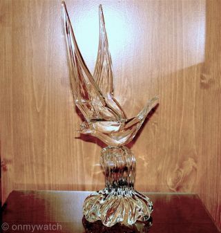 Magnificent Vtg Murano Signed Bird Seagull Art Glass Italy Heavy •15½ " Stunning