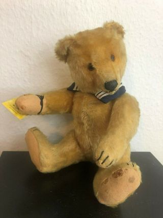 Antique Vintage Mohair Teddy Bear - Schuco - Steiff ? Bought Ad Theriaults