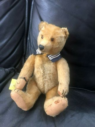 Antique Vintage Mohair Teddy Bear - Schuco - Steiff ? Bought ad Theriaults 2