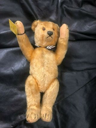 Antique Vintage Mohair Teddy Bear - Schuco - Steiff ? Bought ad Theriaults 6
