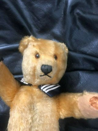 Antique Vintage Mohair Teddy Bear - Schuco - Steiff ? Bought ad Theriaults 7
