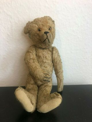 Very sweet Antique 1920 - 30s Small Mohair Bing Teddy Bear 8