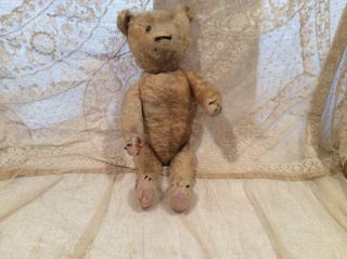 17 " Antique Teddy Bear.  Needs Tlc