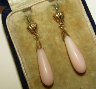 Exceptional,  Antique Victorian 18 Ct Gold Torpedo Earrings With Angel Skin Coral