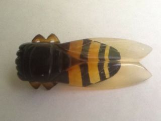 Vintage Phenolic Art Deco Cicada Beetle Brooch Pin