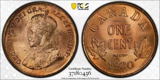 D127 Canada 1920 Small Cent Pcgs Ms - 64 Full Red Rare In Full Red