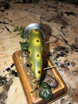 Vintage Heddon 210 surface Minnow Frog Spot Glass Eyes Fishing Lure Bass Bait 3
