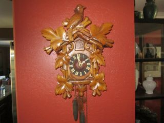 Rare Antique Faller German Black Forest Cuckoo Clock Circa 1908 - 1910 Complete