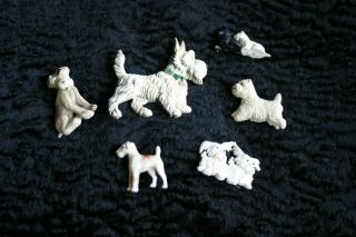 5 VINTAGE CELLULOID DOG BROOCHES 2