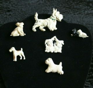 5 VINTAGE CELLULOID DOG BROOCHES 3