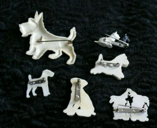 5 VINTAGE CELLULOID DOG BROOCHES 4