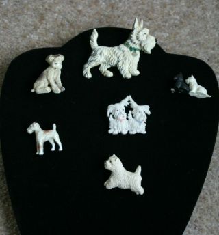 5 VINTAGE CELLULOID DOG BROOCHES 5