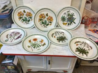 7 Fine Vintage Portmeirion Pottery Botanic Garden Dinner Plates 10 3/8 " Wide