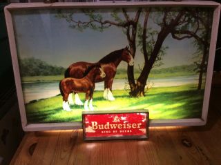 Antique Vintage Budweiser Clydesdale Beer Lighted Bar Sign