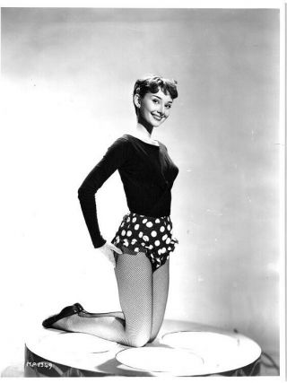 Audrey Hepburn Rare Vintage Glamour Pin Up Fishnet Stockings Photo 1951