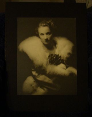 Vintage Photo Sexy Marlene Dietrich Museum Find Eugene Robert Richee