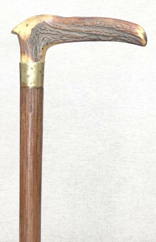 Vintage Antique Antler Stag Handle Brass Mount Hardwood Walking Stick Cane Old