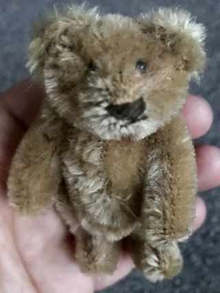 Steiff Miniature Bear 3.  5 " Vintage Caramel Brown So Cute No Id Buy Now No Res