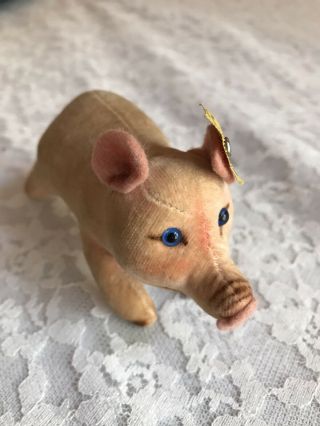 Vintage Steiff Velvet Miniature Pig Jolanthe Piglet 4 " Glass Eyes Button Id Tag