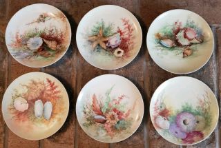 Set Of 6 Limoges Haviland France Hand Painted Antique " Sea Life " Ceramic Plates