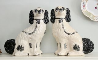 A Sweet Vintage Staffordshire Spaniels Or Wally Dogs,  Black And White