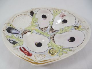 Antique Union Porcelain Upw Clam Shape Oyster Plate