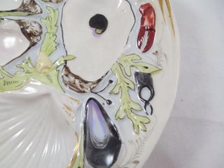Antique Union Porcelain UPW Clam Shape Oyster Plate 6