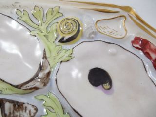 Antique Union Porcelain UPW Clam Shape Oyster Plate 7